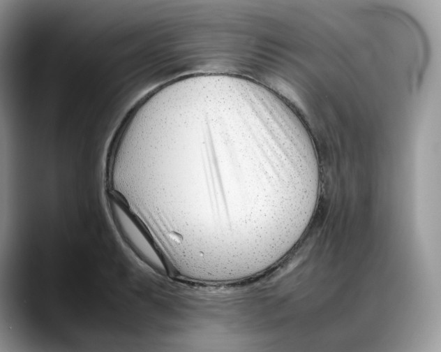 X0000088091087200706081745