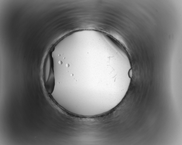 X0000088091088200706081745