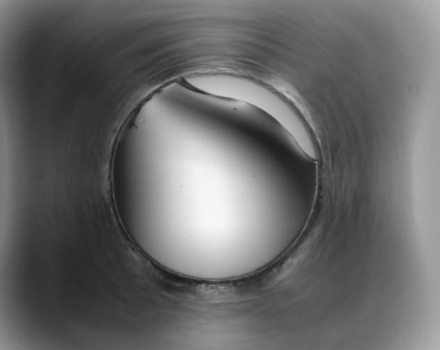 X0000088091089200706081745