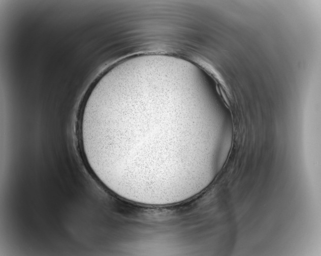X0000088091091200706081745