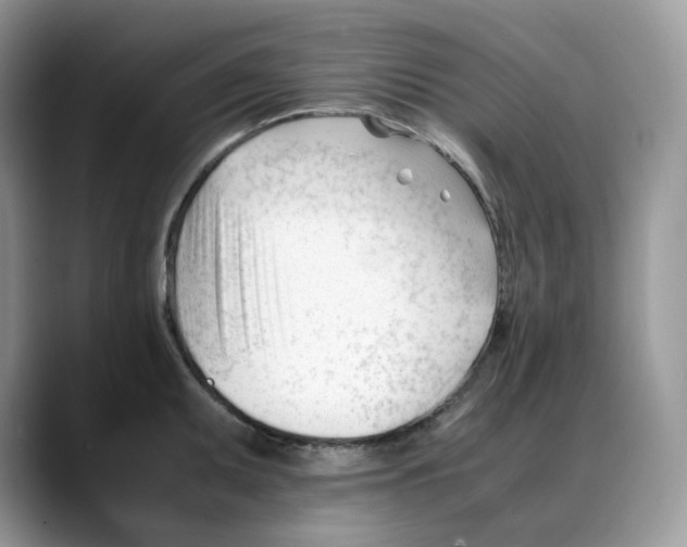 X0000088091095200706081745