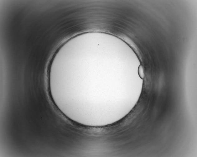 X0000088091096200706081745