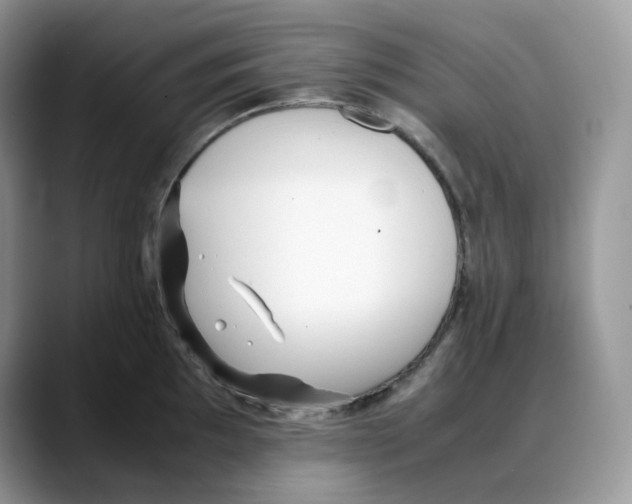X0000088091097200706081745