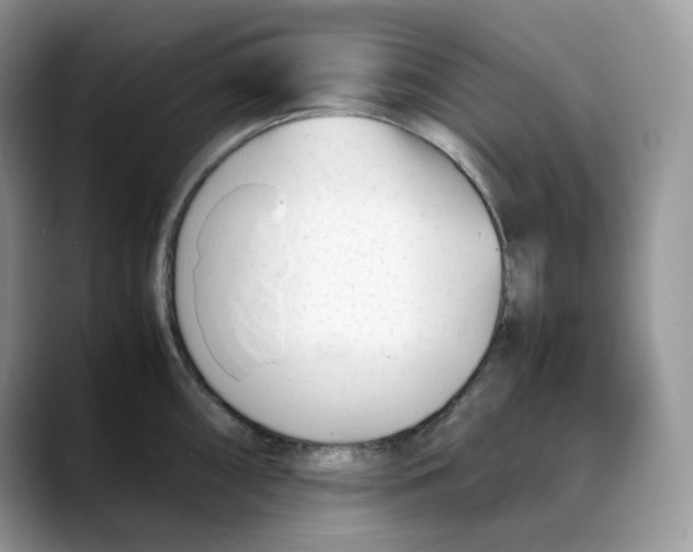 X0000088091098200706081745