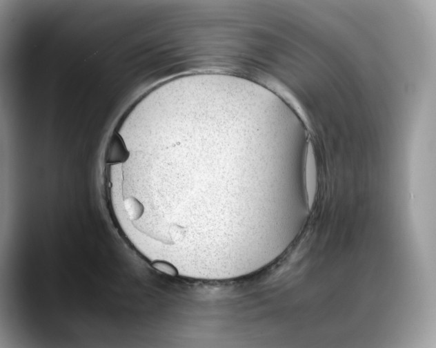 X0000088091099200706081745