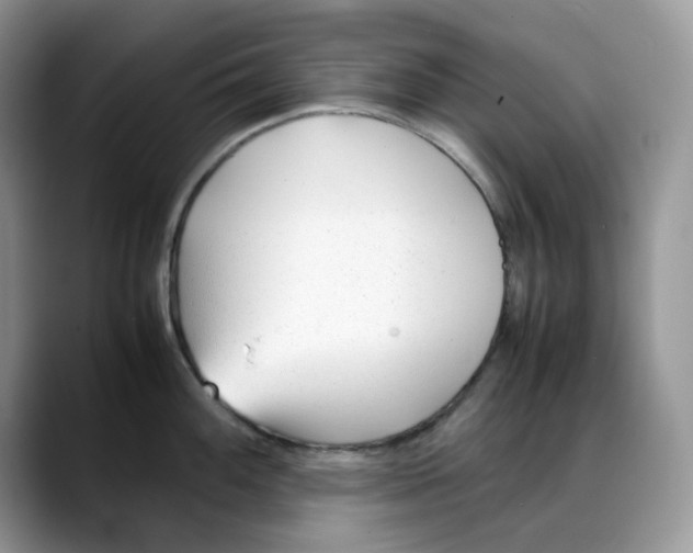 X0000088091100200706081745