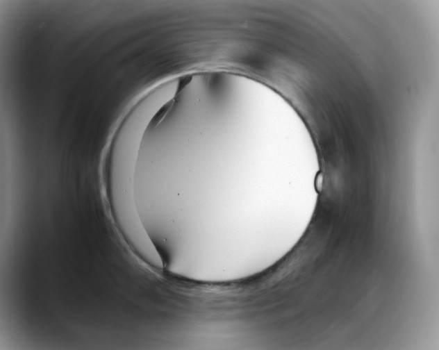X0000088091102200706081745
