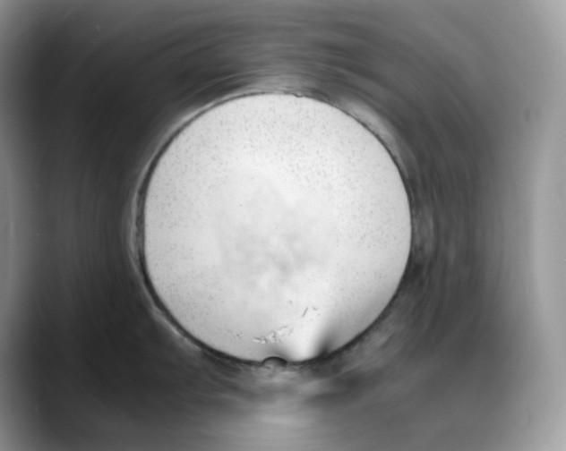 X0000088091103200706081745