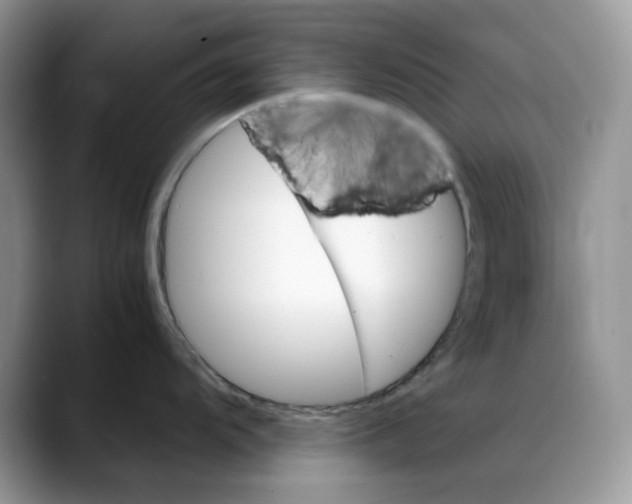 X0000088091104200706081745