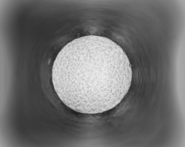 X0000088091105200706081744