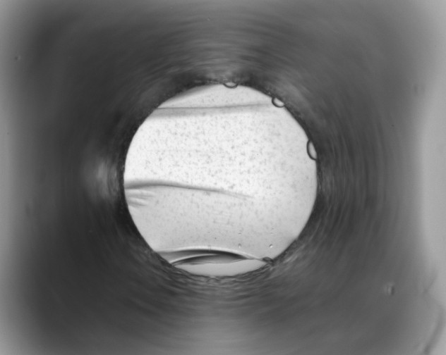 X0000088091106200706081744
