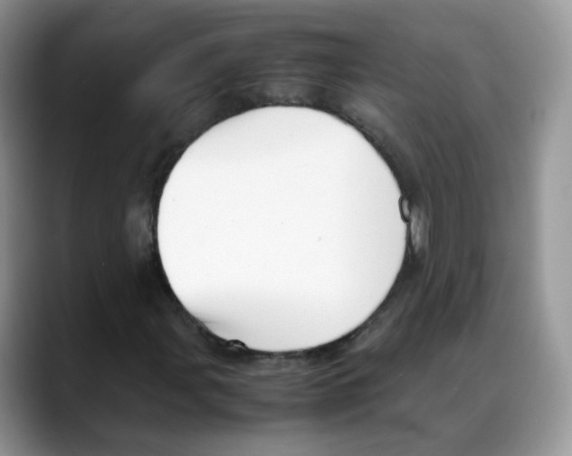 X0000088091107200706081744
