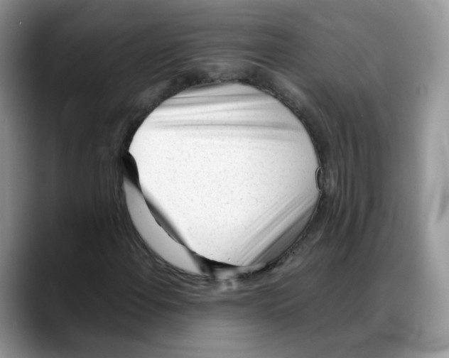 X0000088091108200706081744
