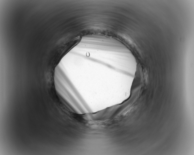X0000088091110200706081744
