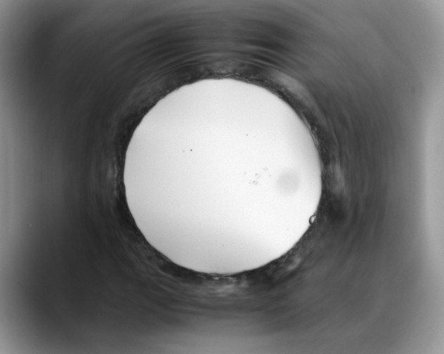 X0000088091111200706081744