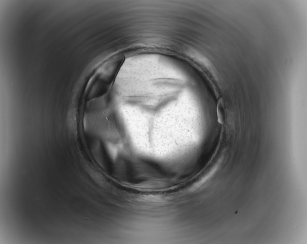X0000088091114200706081744