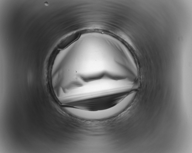 X0000088091116200706081744