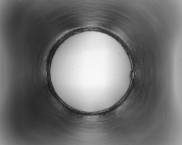 X0000088091118200706081744