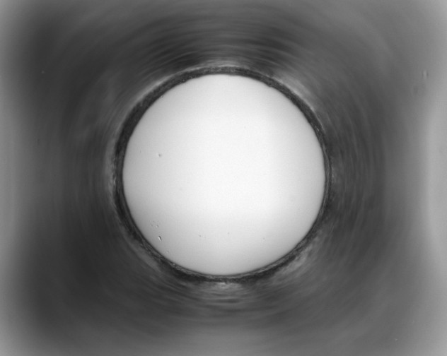 X0000088091119200706081744