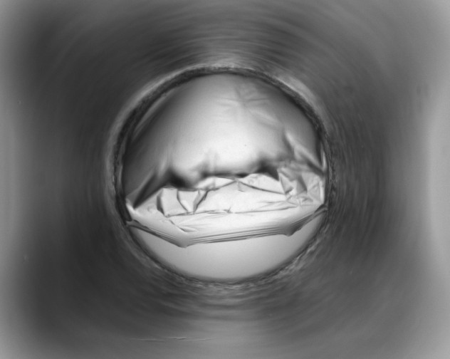 X0000088091120200706081744