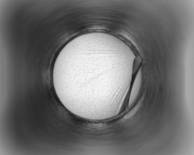 X0000088091121200706081744