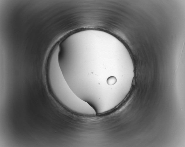 X0000088091122200706081744