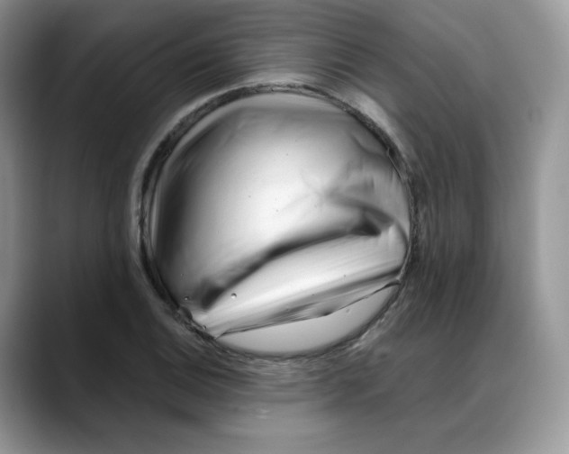 X0000088091124200706081744