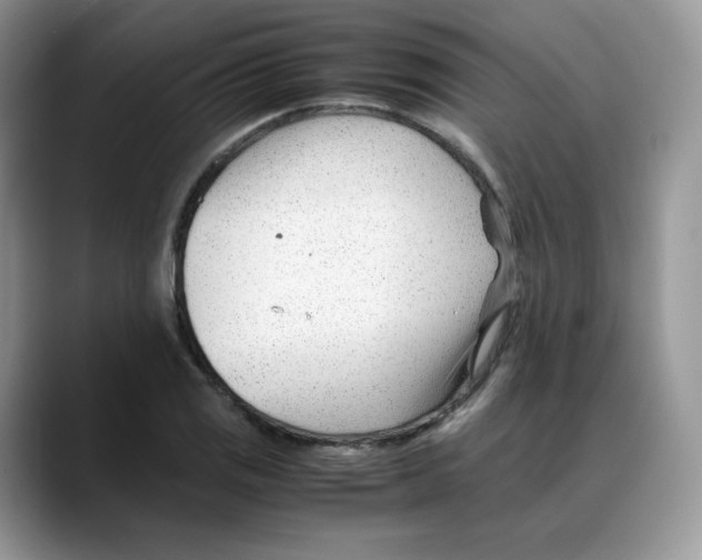 X0000088091125200706081744