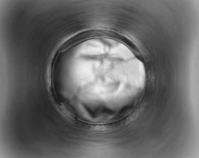 X0000088091128200706081745