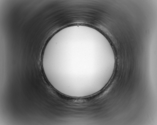 X0000088091129200706081745