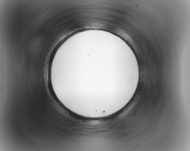 X0000088091130200706081745
