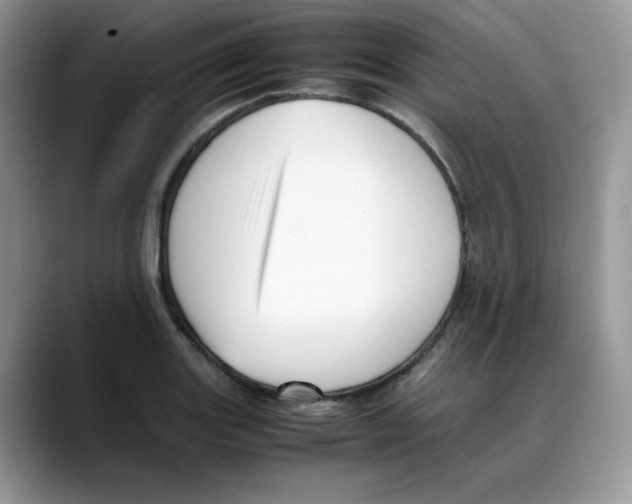 X0000088091131200706081745