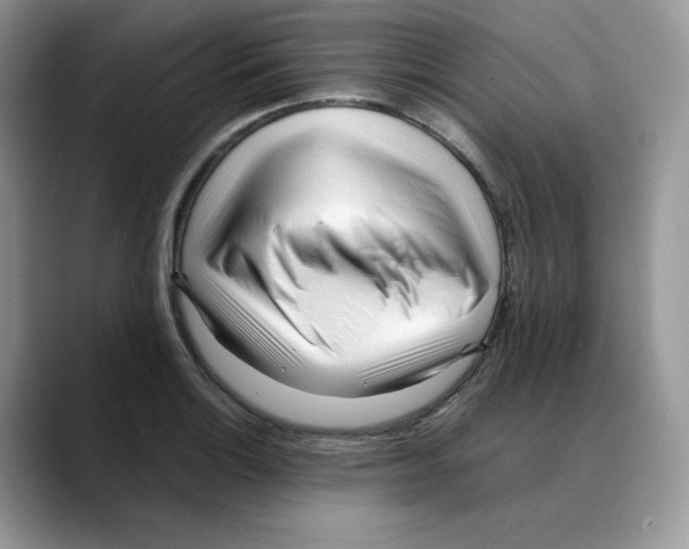 X0000088091132200706081745