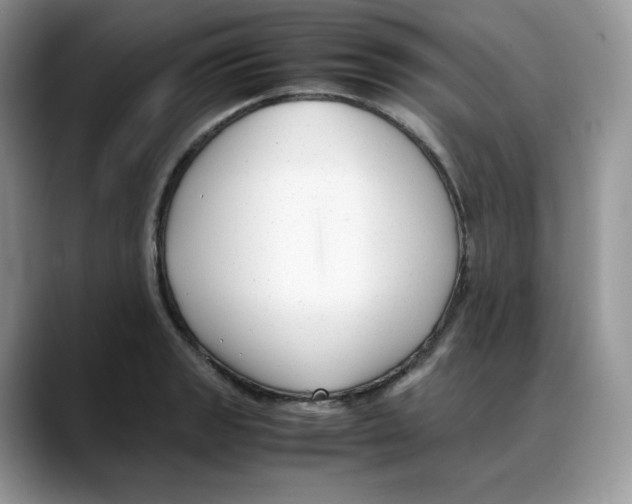 X0000088091133200706081745