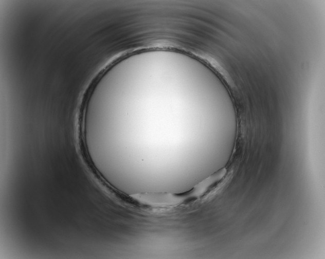 X0000088091134200706081745