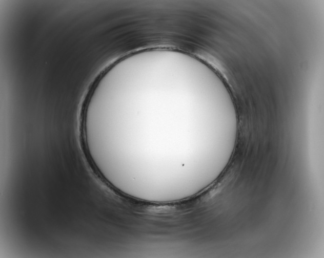 X0000088091135200706081745