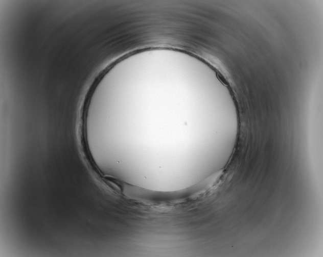 X0000088091136200706081745