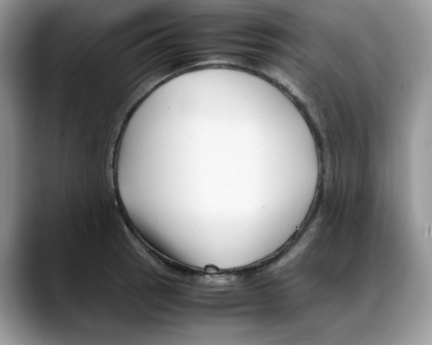 X0000088091137200706081745