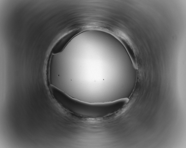 X0000088091138200706081745