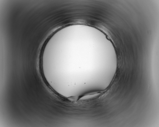 X0000088091139200706081745