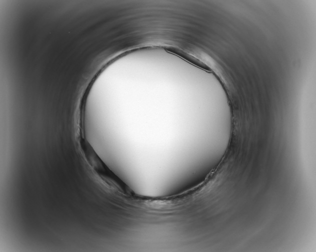 X0000088091140200706081745