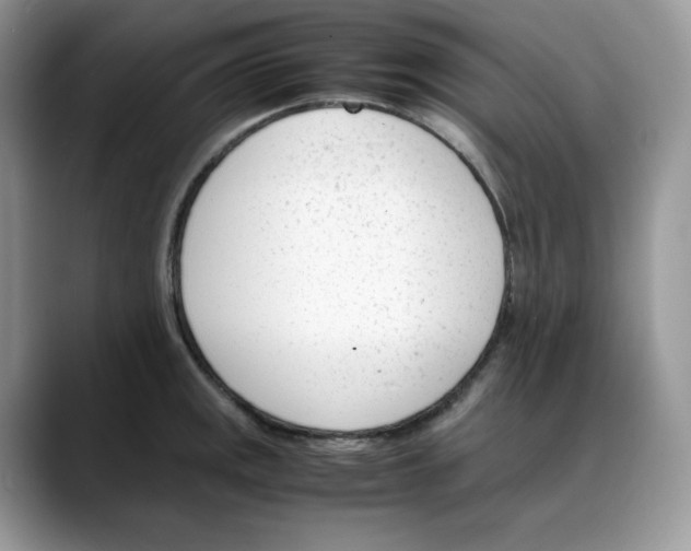 X0000088091141200706081745