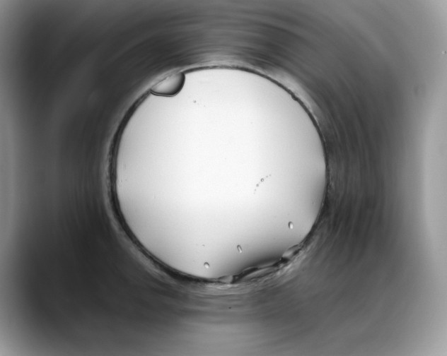 X0000088091142200706081745