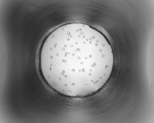 X0000088091144200706081745