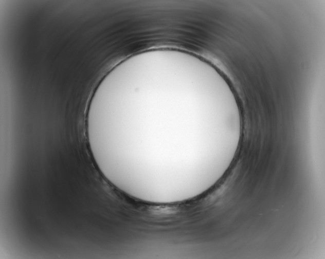 X0000088091145200706081745