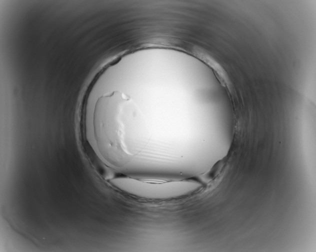 X0000088091146200706081745