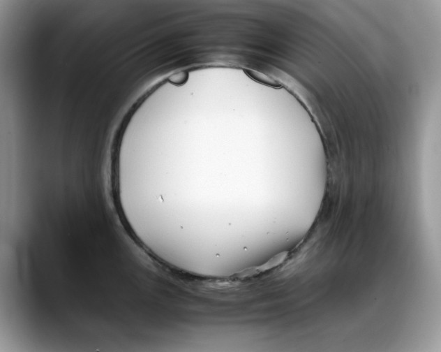 X0000088091147200706081745