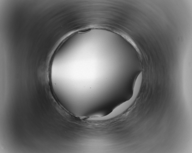 X0000088091148200706081745