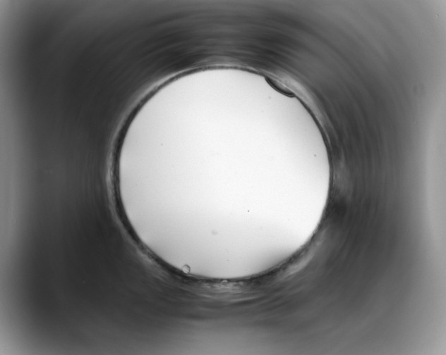 X0000088091149200706081745