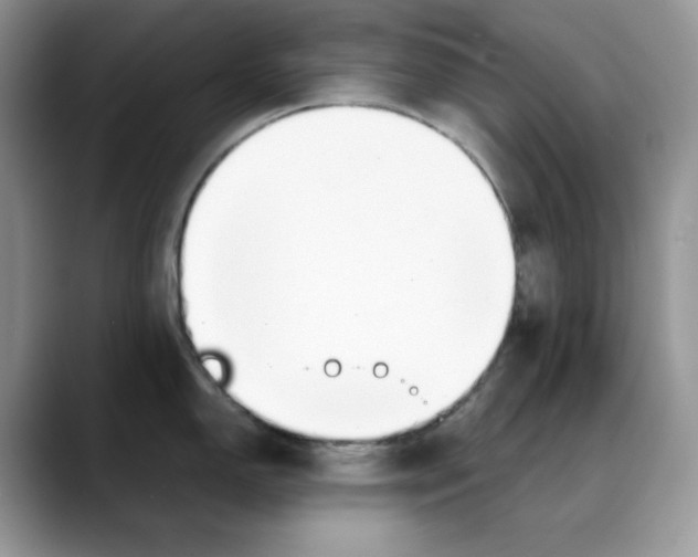 X0000088091150200706081745